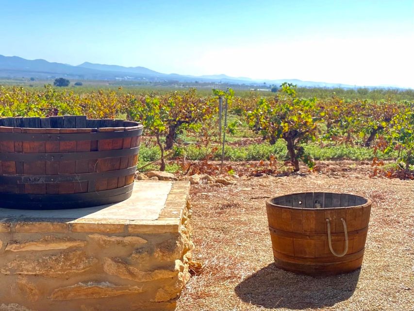 4-Days Wine Trip to Valencia & Requena! 24/9 - 29/9 - - Key Points