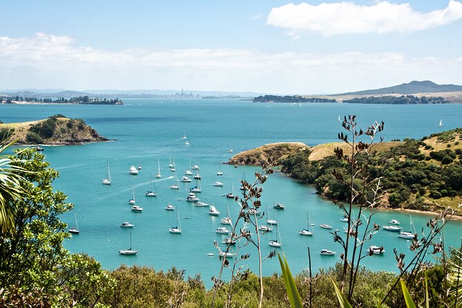 1.5h Waiheke Guided Scenic Tour in Our Electric Van - Booking Your Tour