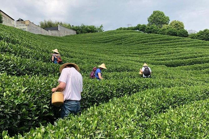 1-Day Village Tea Picking, Roasting & Serving Guided Private Tour From Hangzhou - Booking Process