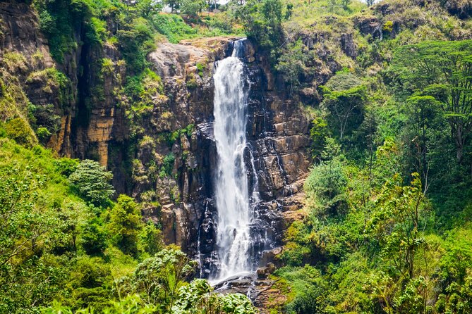 14-Day Private Tour in Sri Lanka - Meals Included