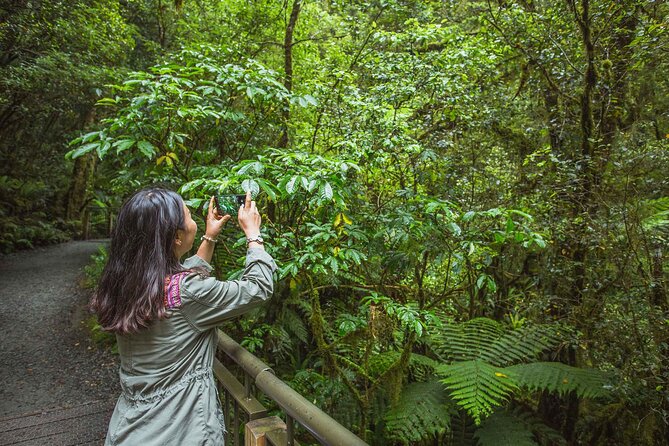 2-Hour Milford Sound Cruise - Inclusions of the Tour