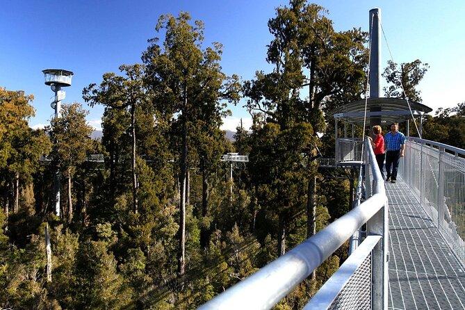 2-Hour Tower Zipline and Walkway Combo Private Guided Activity - Meeting and Pickup Instructions