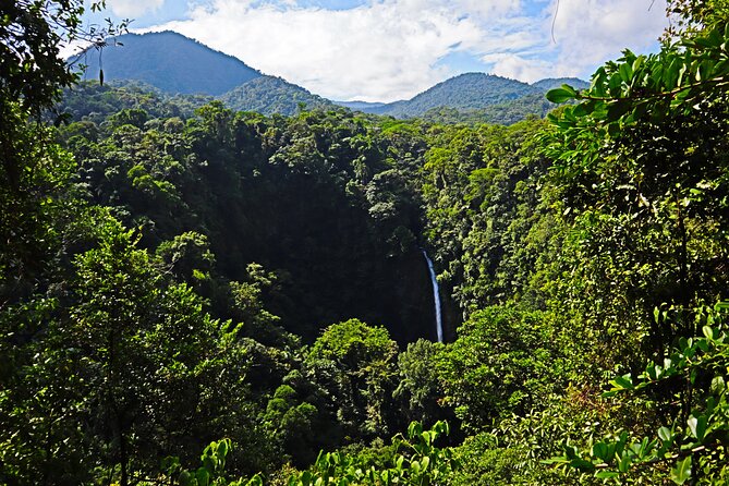 2-in-1 Arenal Volcano Combo Tour: La Fortuna Waterfall and Volcano Hike - Guest Experiences and Reviews