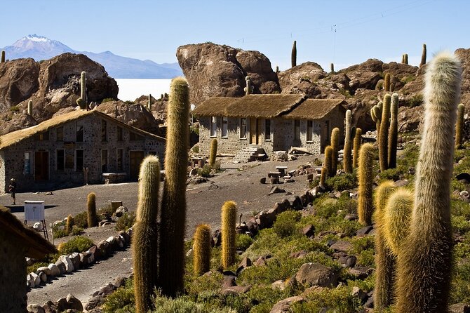 3-Day Uyuni Salt Flat Tour With Sunset and Red Lagoons - Booking Information