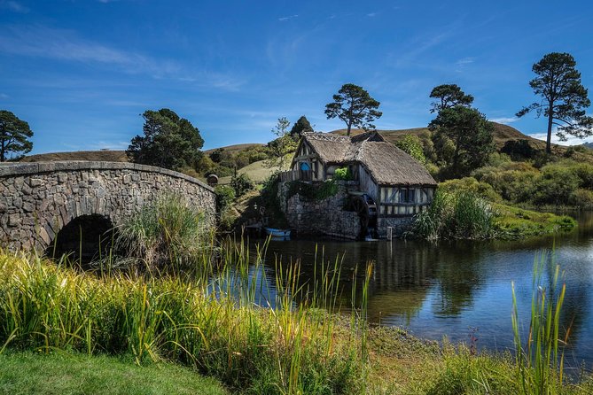 4-Day Auckland to Wellington via Rotorua Tour - Booking Information