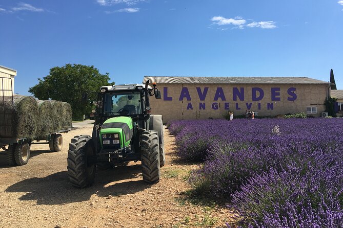 4-Hour Lavender Fields Tour in Valensole From Aix-En-Provence - Whats Included in the Tour