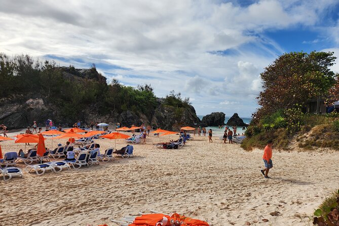 4 Hour Shared Pink Beach Excursion in Bermuda - Accessibility Options Available