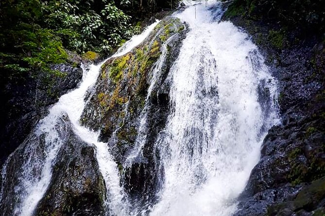 5 Hour Off-Road ATV+ Zipline+ Waterfall Rappelling+ Tractor Jungle Tour - Customer Experiences
