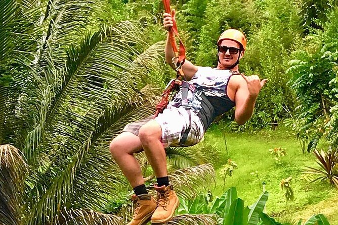 5 Line Jungle Zipline Eco Adventure - Customer Reviews and Feedback