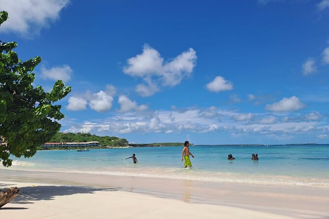 6-Hours Guided Stingray Tour in the East Coast of Antigua - Safety and Accessibility