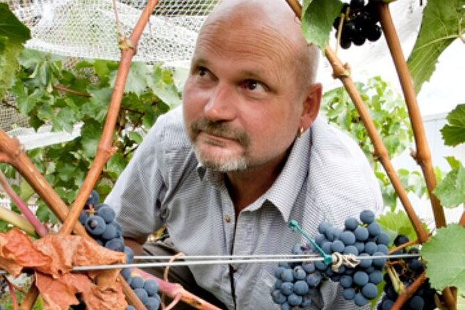 6hr Martinborough Chefs Private Wine Tour ŵ Lunch From Wellington - Booking Information