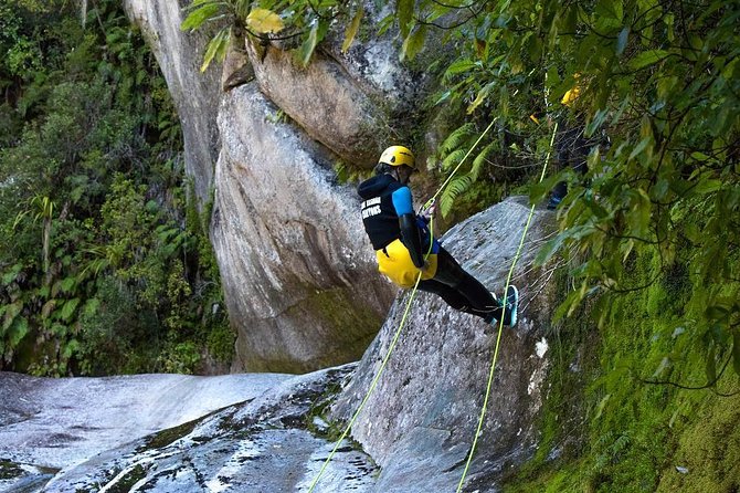 7 Day South Island Lick Tour - Health and Safety Guidelines