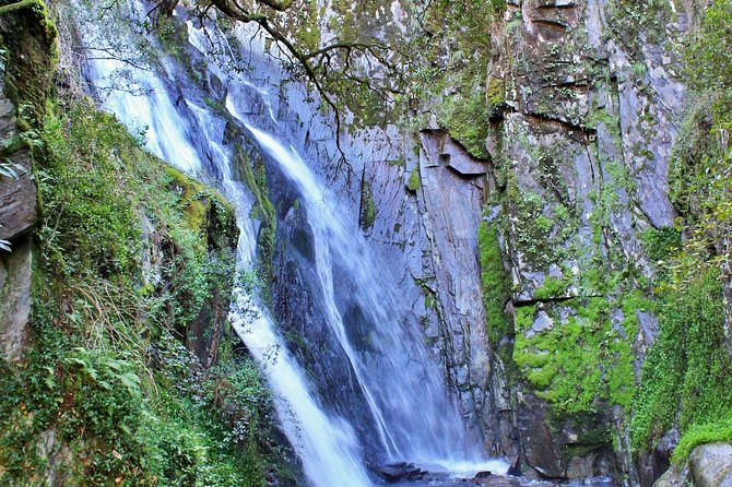 A Tour Between Cascades and Schist Villages, Piodão - Pricing Details