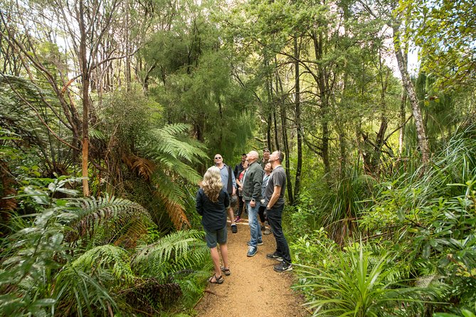 Afternoon Piha Beach and Rainforest Tour From Auckland - What to Bring