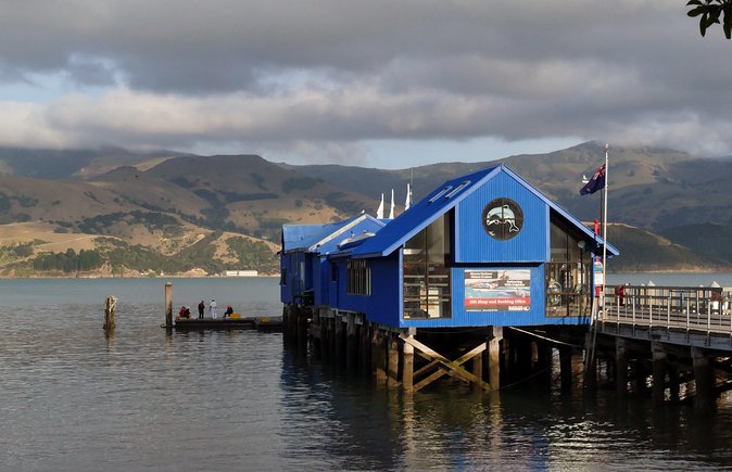 Akaroa-Christchurch Cruise Ship - Spanish Driver Guide / Spanish Tour Guide Driver - Tour Highlights