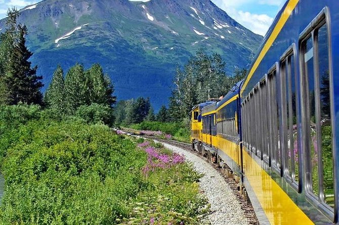 Alaska Railroad Anchorage to Seward Round-Trip Same Day Return - Onboard Amenities