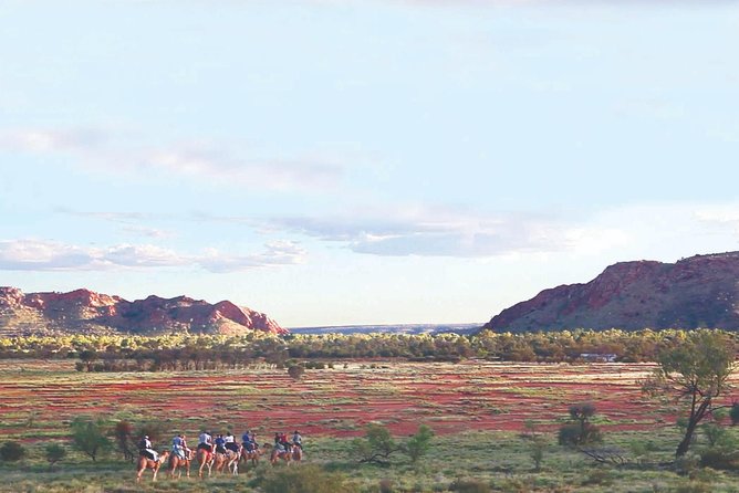 Alice Springs Camel Tour - Traveler Requirements and Restrictions