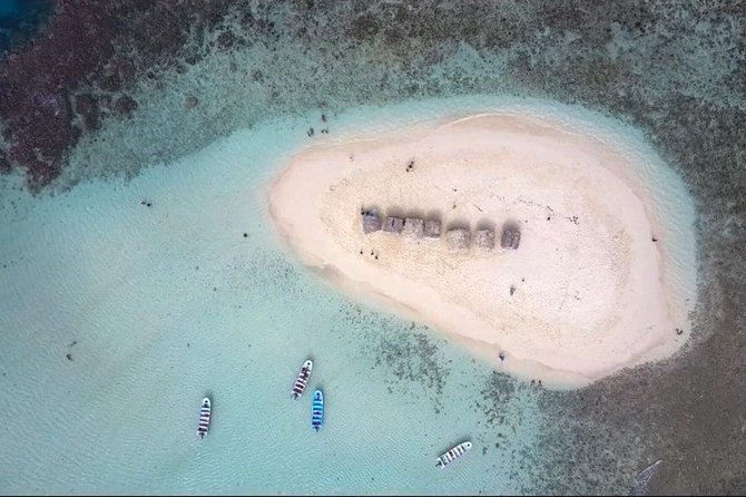 All-Inclusive Cayo Arena Day Trip From Santo Domingo - Customer Reviews Summary