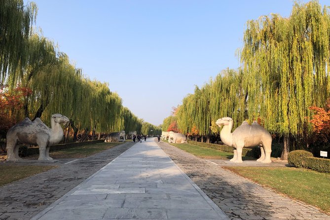 All Inclusive Private Tour: Juyongguan Greatwall, Sacred Road, MingTombs - Reviews and Testimonials