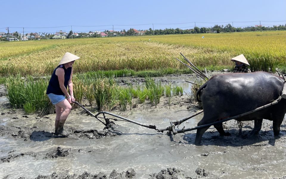 An Incredible Hoi an - Water Buffalo Riding & Cooking Class - Traditional Rice Planting