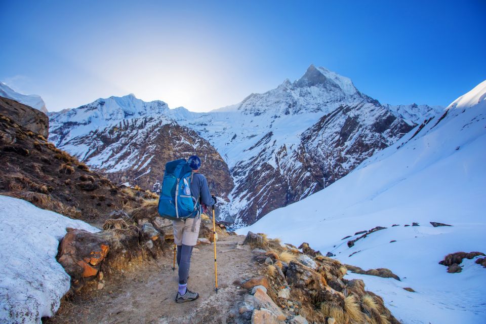 Annapurna Base Camp Trek and Chitwan Jungle Safari - 15 Days - Detailed Itinerary