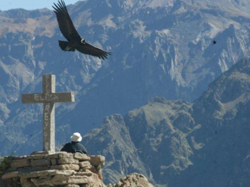 Arequipa: 2-Day Colca Canyon Tour - Customer Reviews