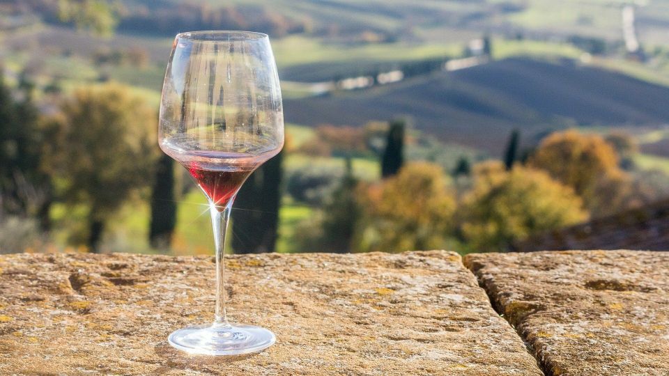 Arezzo: Val Di Chiana Wine Tasting Experience - Local Culinary Delights