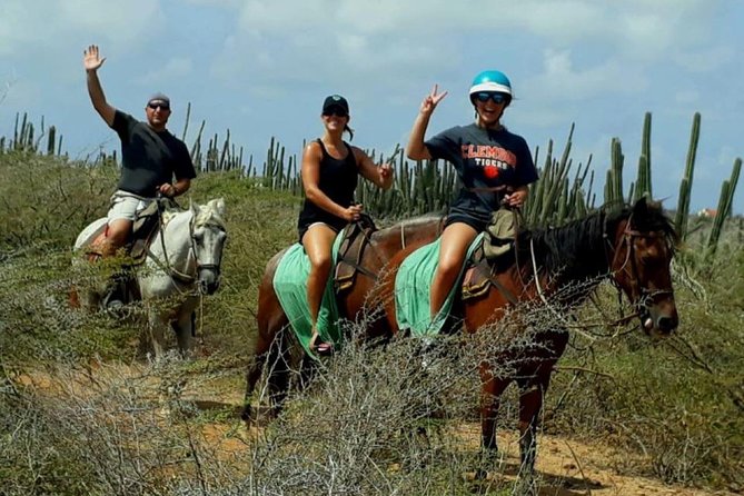 Aruba Horseback Riding Tour to Alto Vista Chapel - Wildlife Sightings