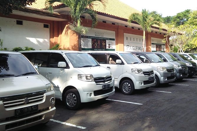 Bali Private Car Charter & Customize Tour With Driver English Speaking-Free WiFi - Customer Reviews