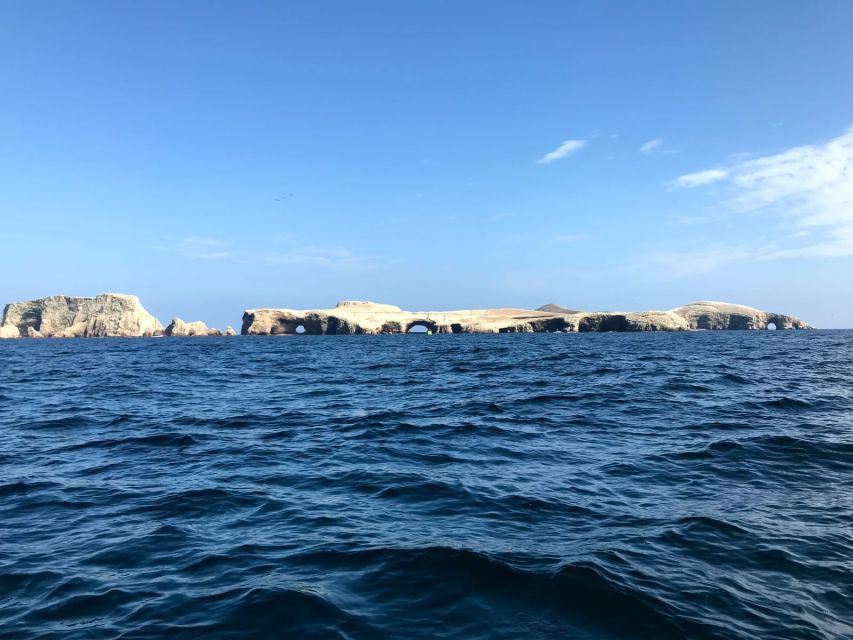 Ballestas Islands and Tambo Colorado From San Martin Port - Customer Feedback