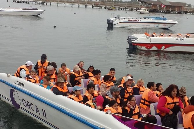 Ballestas Islands Group Tour From Paracas - Customer Experiences and Feedback