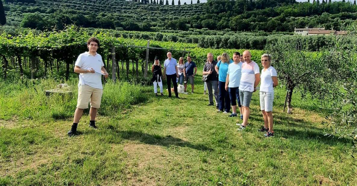 Bardolino: Vineyard Tour With Wine, Olive Oil & Food Tasting - Key Points