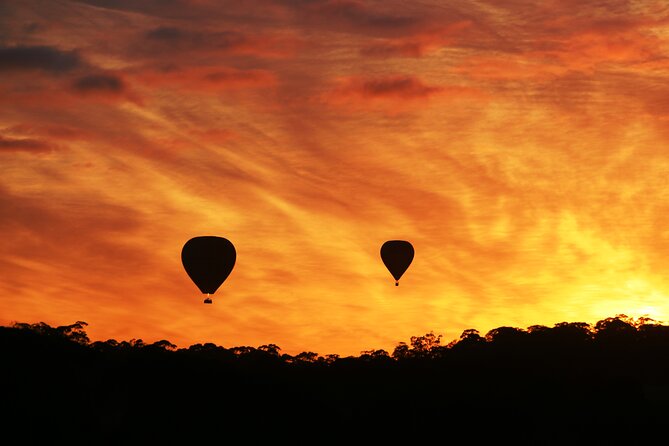 Barossa Valley Hot Air Balloon Ride With Breakfast - Scenic Flight Highlights