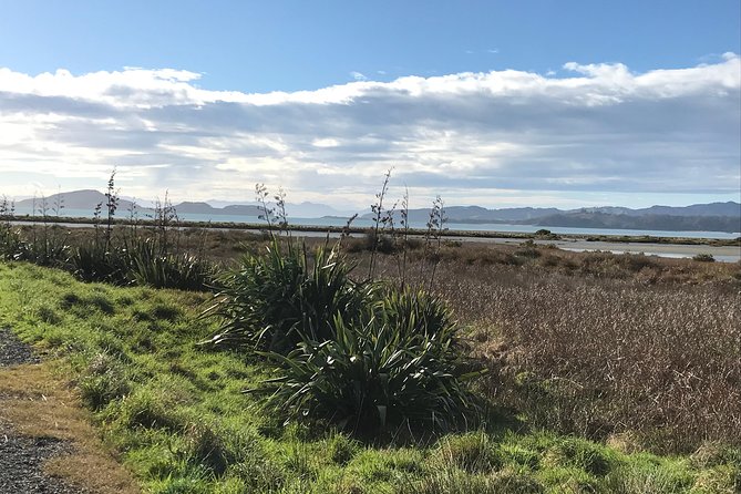 Beautiful Pohutukawa Coast - Half Day Private Tour - Pricing and Booking Information