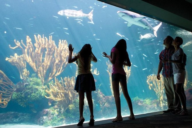 Bermuda Aquarium and Crystal Caves Admission - Service Quality of Tour Guides