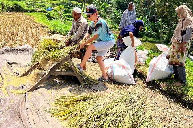 Best Lombok Rice Terrace Walking Tour With Waterfall & Monkey - Traveler Restrictions