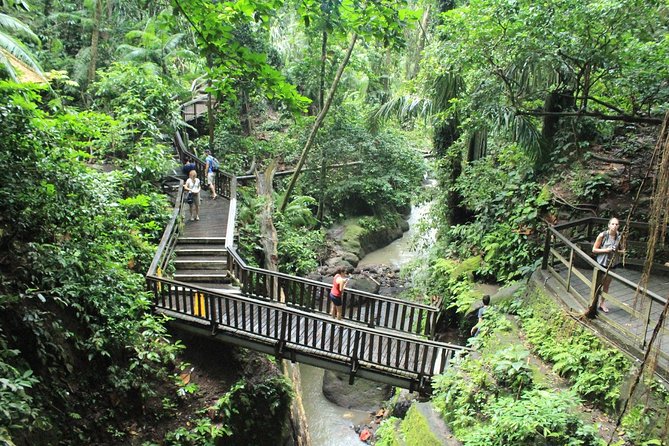 Best of Ubud Tour : Private Ubud Traditional Tours - Health and Accessibility