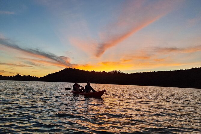 Bioluminescence Kayak Tour - Est. 1994 - Why Choose This Tour