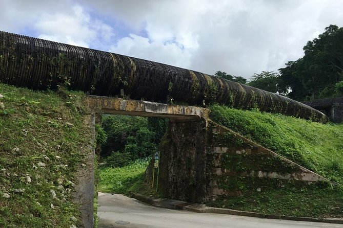 Blue Hole Tour From Ocho Rios - What to Expect