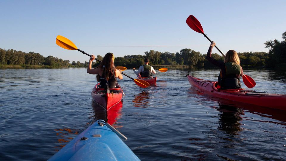 Bosa: Temo River Kayak Rental - Customizable Itinerary Options