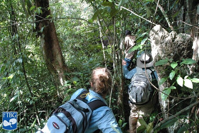 Bush Hiking to Explore Wild Plants & Fresh Fruits,Montego Bay - Accessibility Information