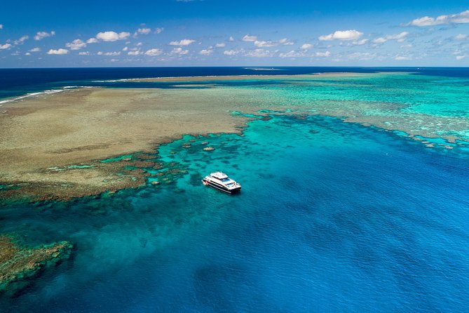 Calypso Outer Great Barrier Reef Cruise From Port Douglas - Safety Measures