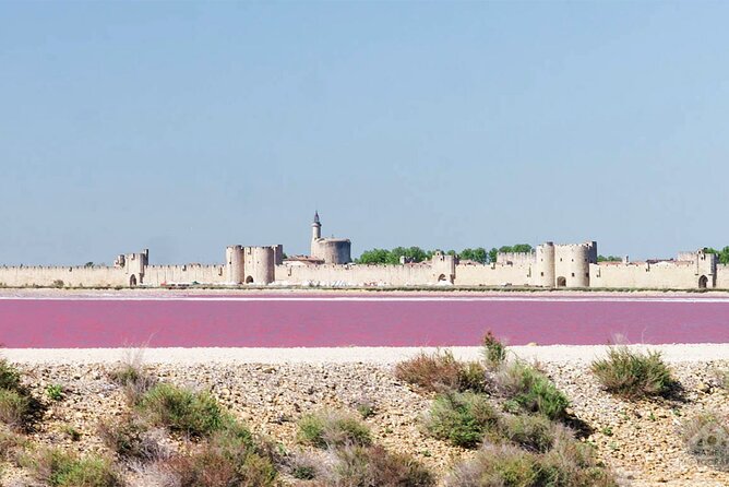 Camargue Small-Group Day Trip From Avignon - Local Cuisine and Culture