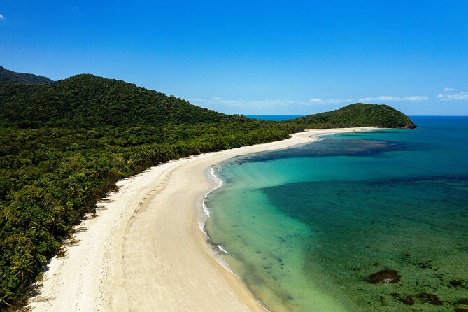 Cape Tribulation Day Tour From Cairns - Wildlife Spotting Opportunities