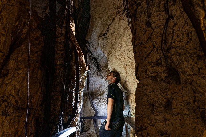 Capricorn Caves Cathedral Cave Tour - Booking Information