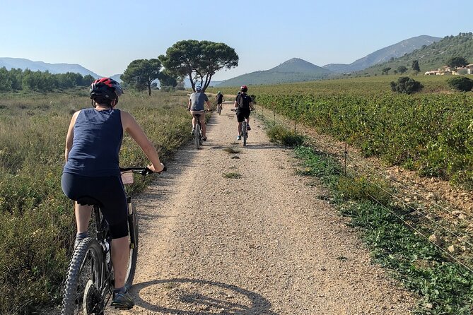 Cassis: Three Calanques Tour by Electric Mountain Bike - Customer Reviews and Feedback