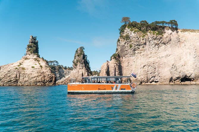 Cathedral Cove Coast and Cave Activity - Snorkeling Experience Details