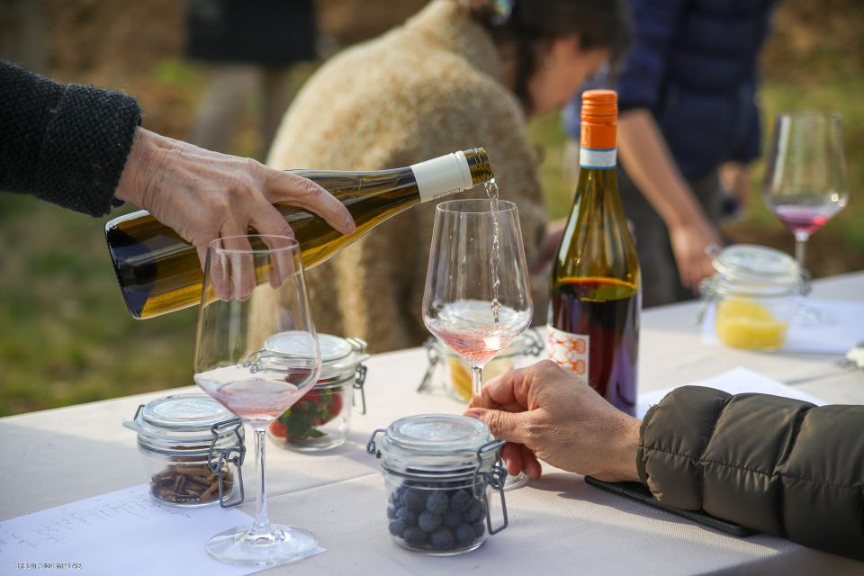 Cavaion: Organic 4 Wines Tasting and Aroma Experience - Educational Vineyard Tour