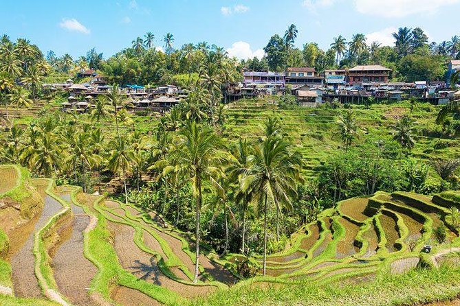 Central Bali Tour: Ubud Village, Kintamani Volcano, and Waterfall - Traveler Requirements