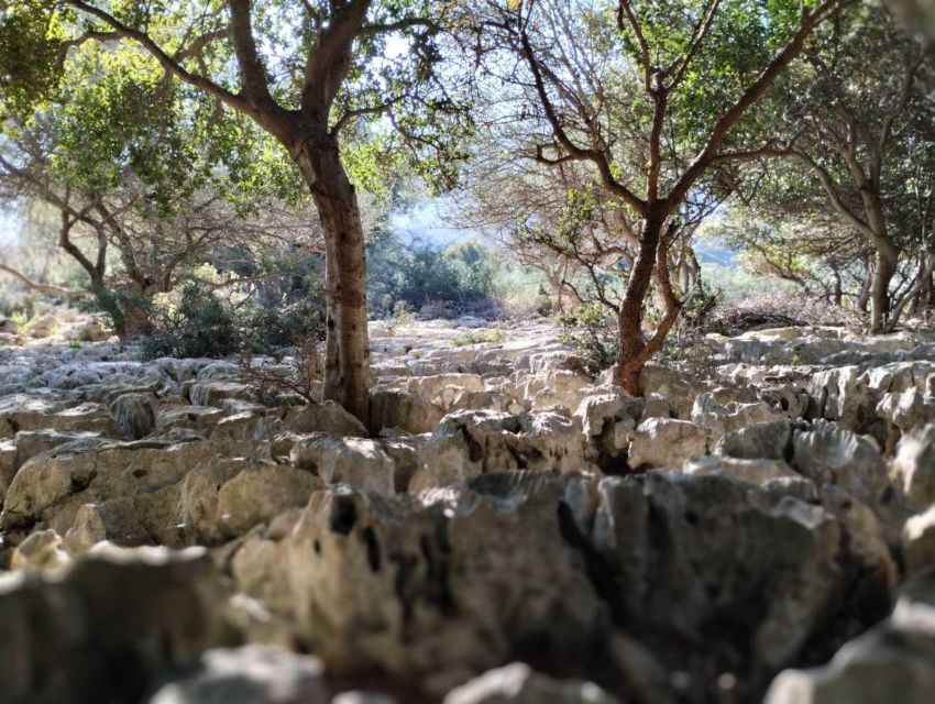 Chania: Traditional Villages, Local Producers and Artisans - Traditional Village Experiences